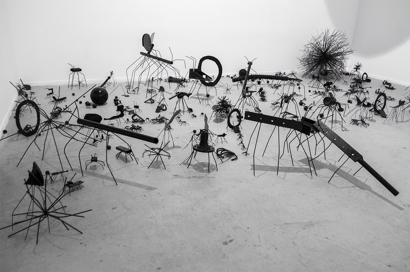 David Shrigley, Insects, 2008