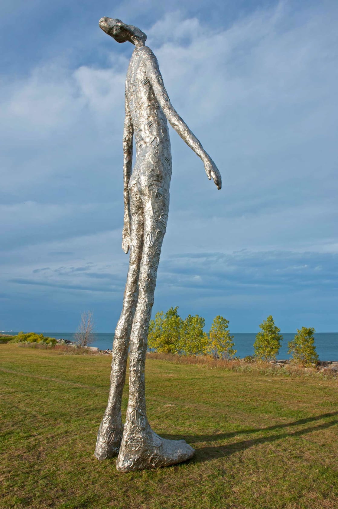 Tom Friedman, Looking Up, 2014