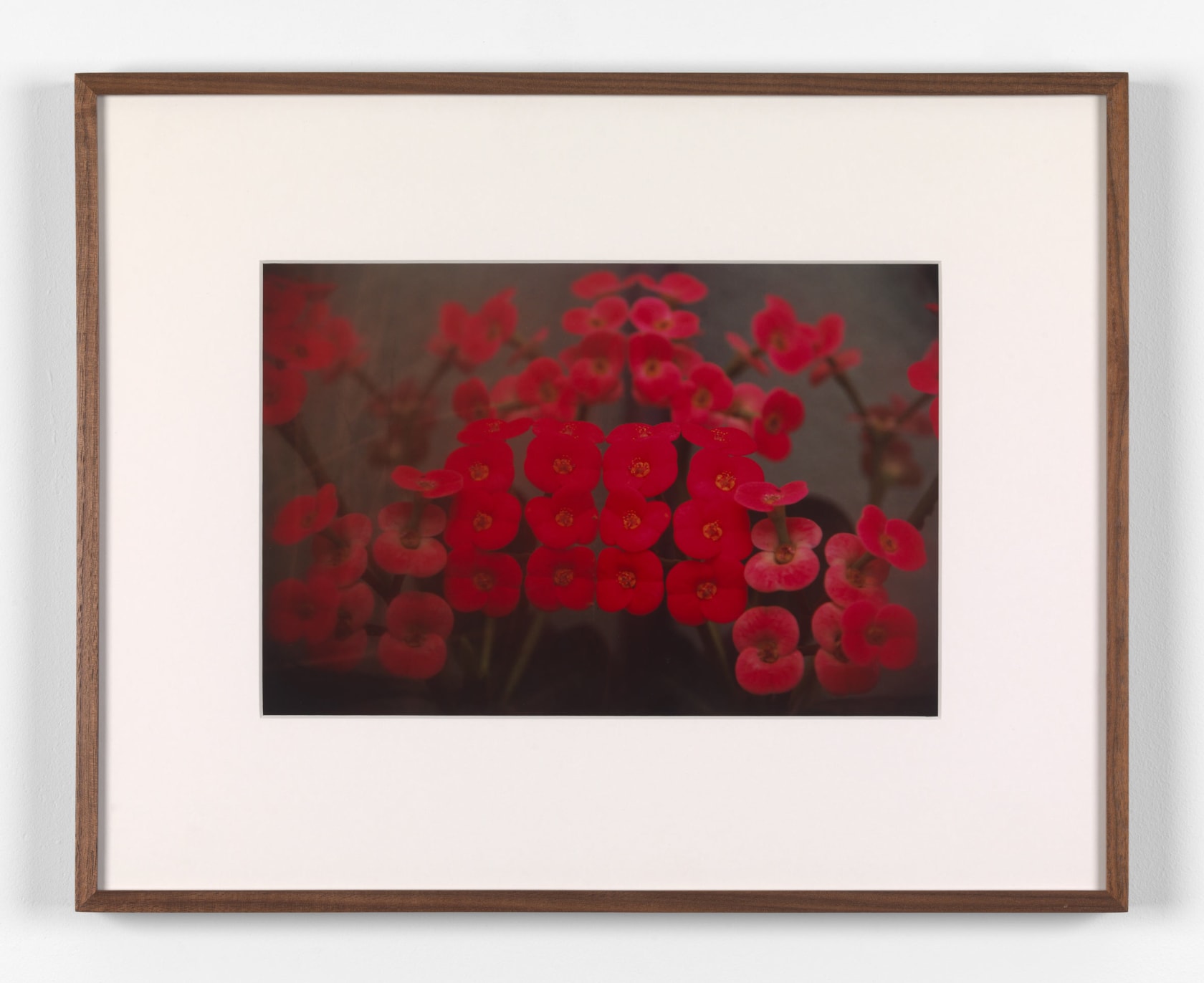Rivane Neuenschwander, A place not far from here, 2009