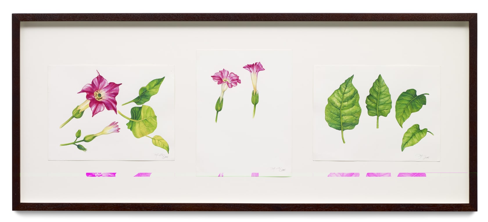 Kehinde Wiley, Nicotiana Tabacum, 2015