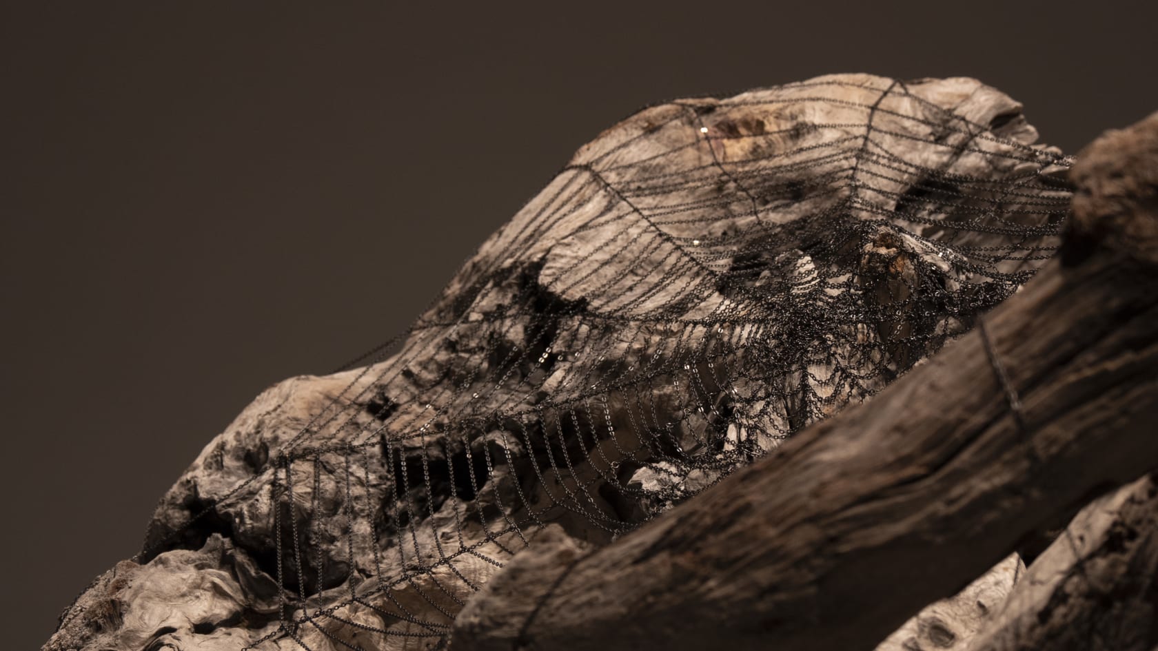 Jim Hodges, Still, 2019