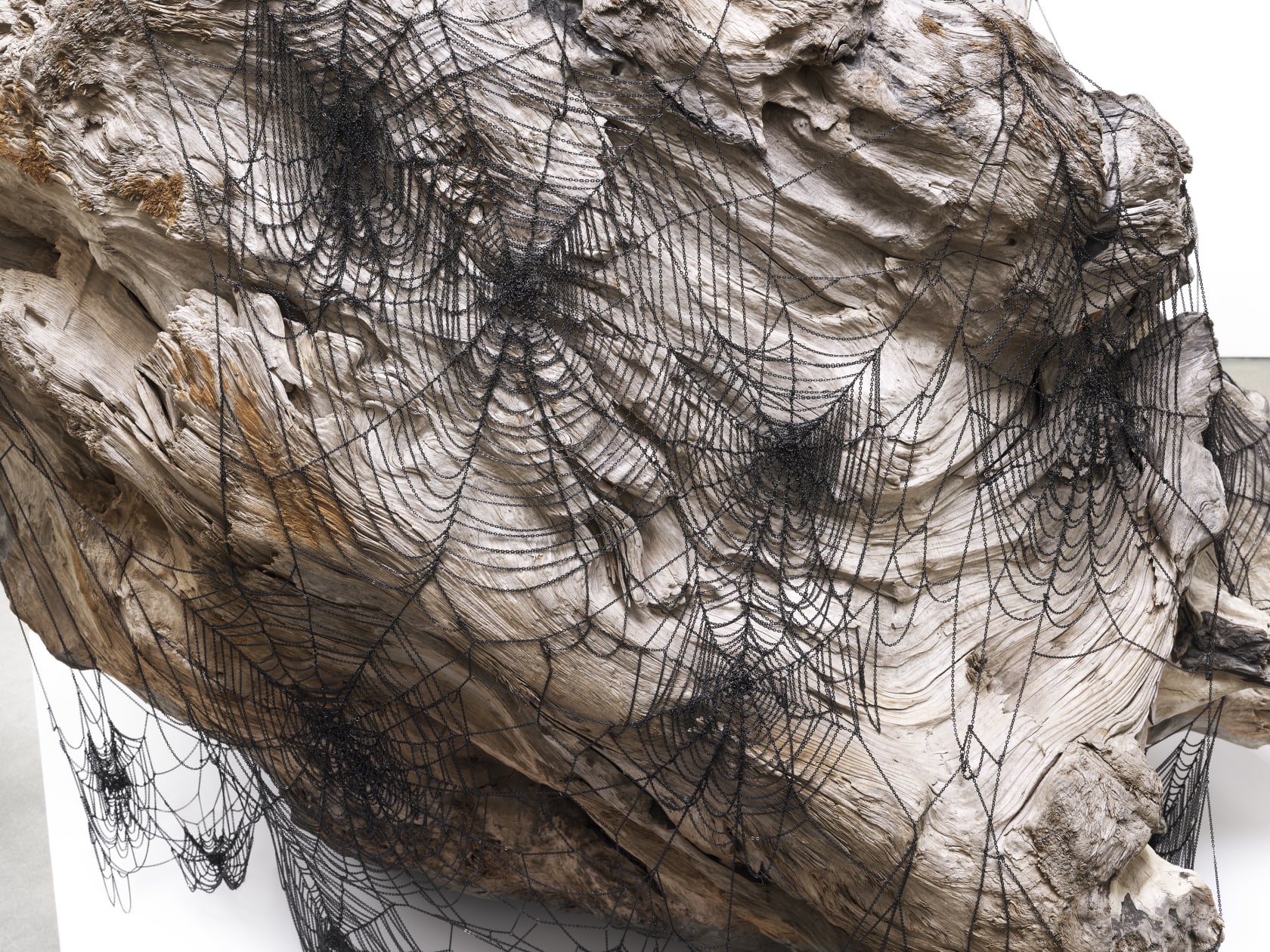 Jim Hodges, Still, 2019