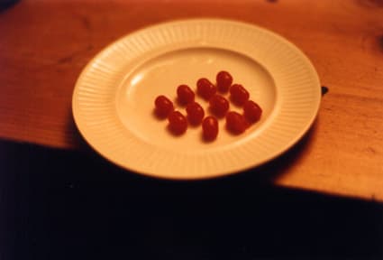 Rivane Neuenschwander, Conversations, 2002