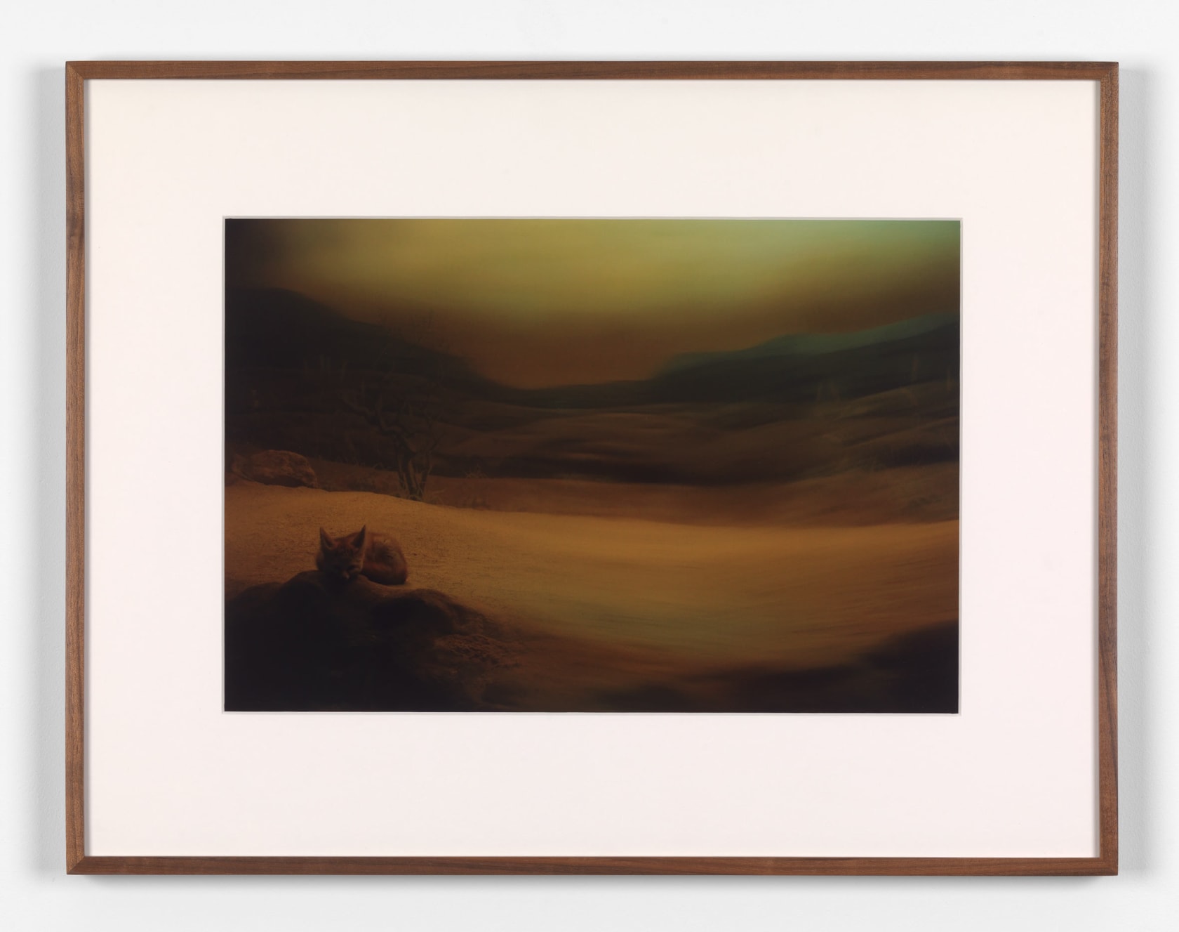 Rivane Neuenschwander, A place not far from here, 2009