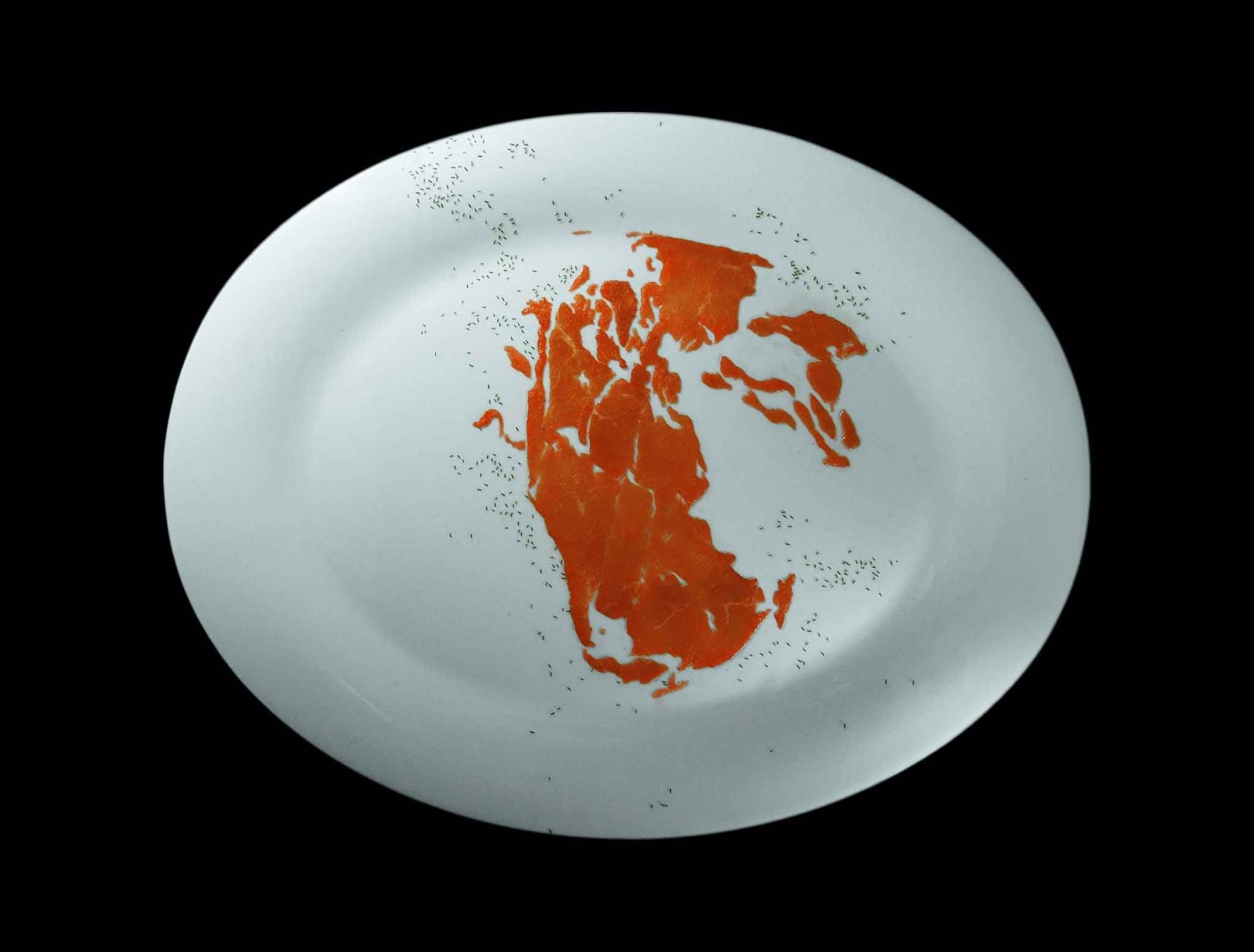 Rivane Neuenschwander, Pangaea’s Diaries, 2008