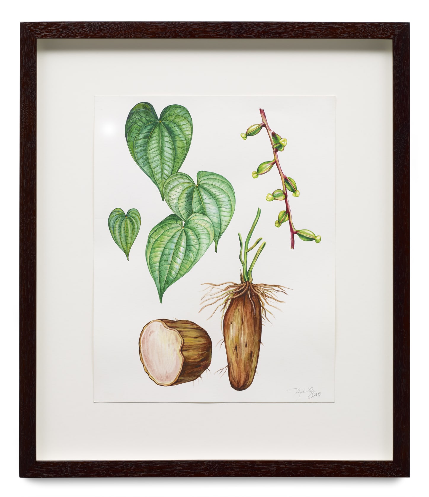 Kehinde Wiley, Dioscorea Cayenensis, 2015