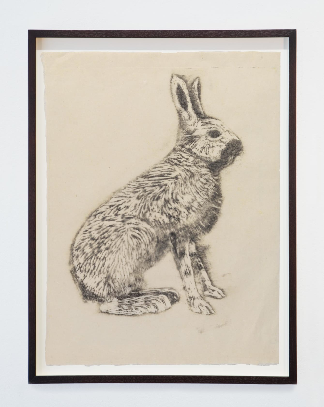 Mamma Andersson Hare, 2015