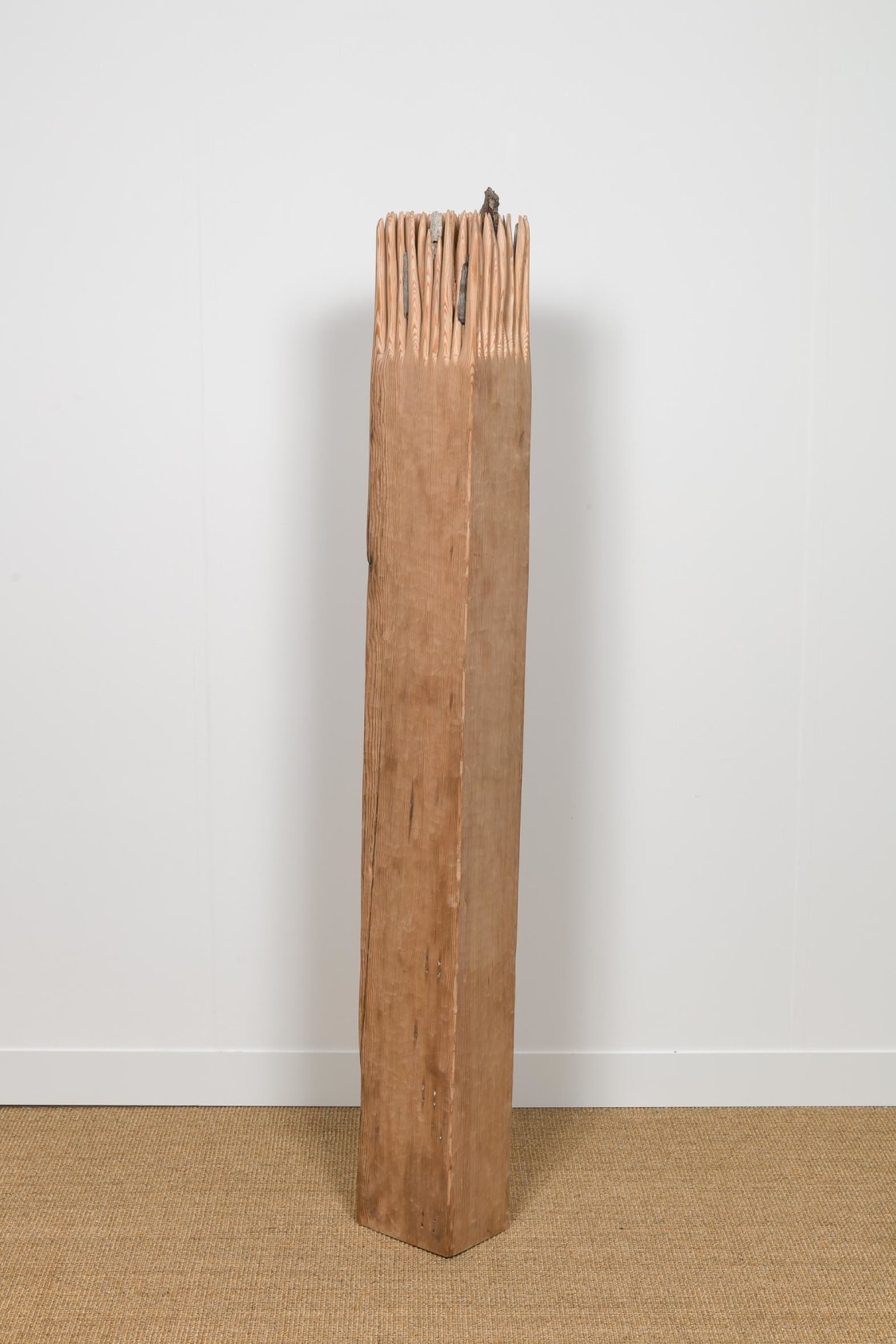 Tonico Lemos Auad, Slow Walk, 2019