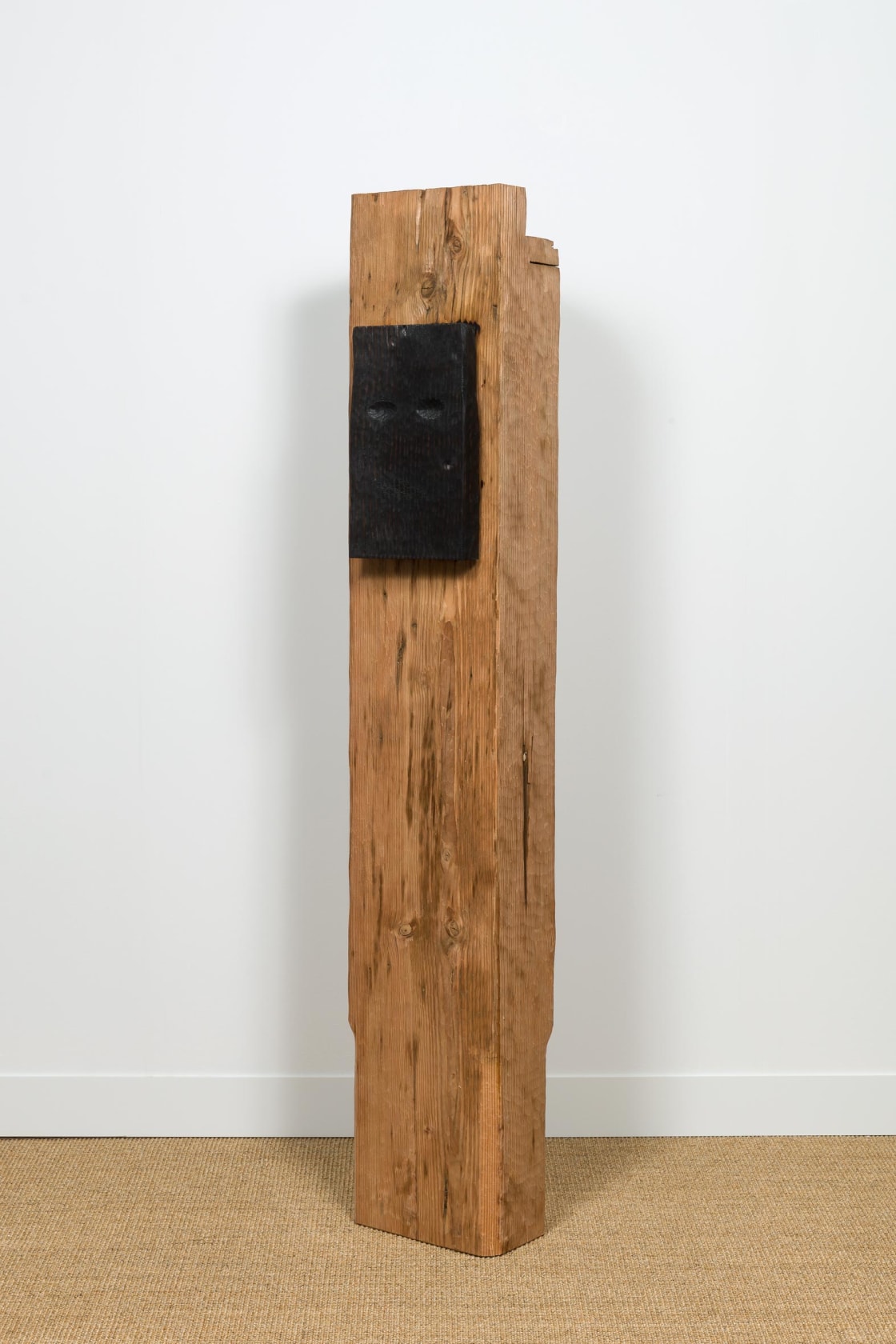 Tonico Lemos Auad, The World is Black as Ink, 2019
