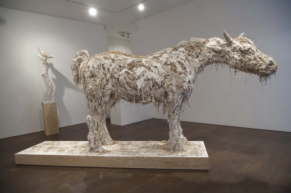 Nicola Hicks Close Up, 2012