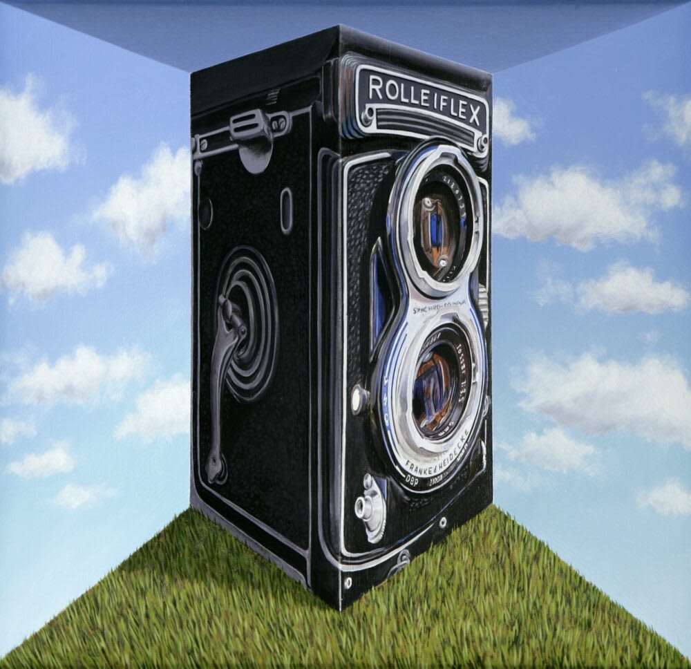 Patrick Hughes Rollei-ing Along, 2010