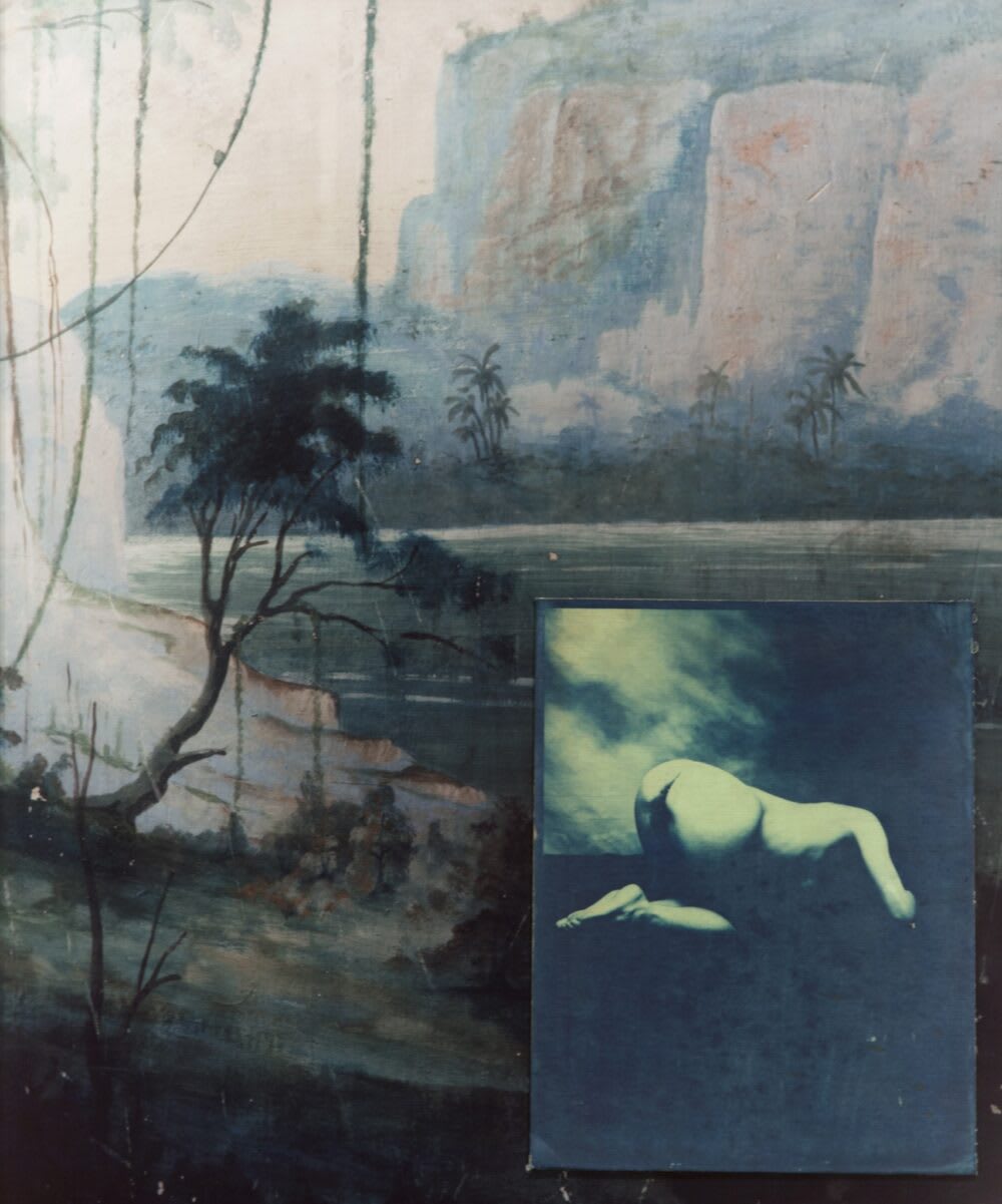 Esther Teichmann Untitled from Fractal Scars, Salt Water and Tears , 2012