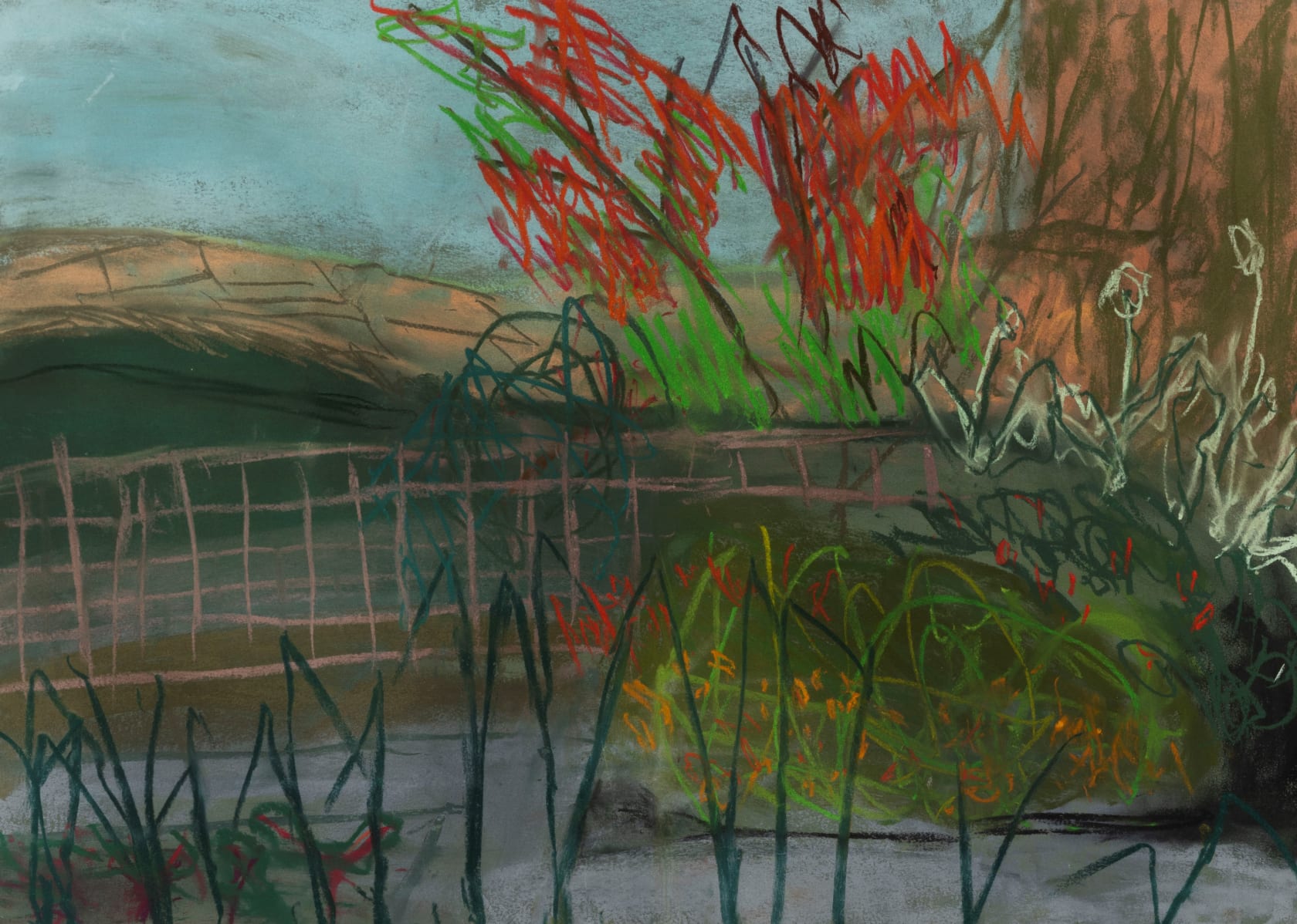 Lucy Jones Leeks with a View, 2015