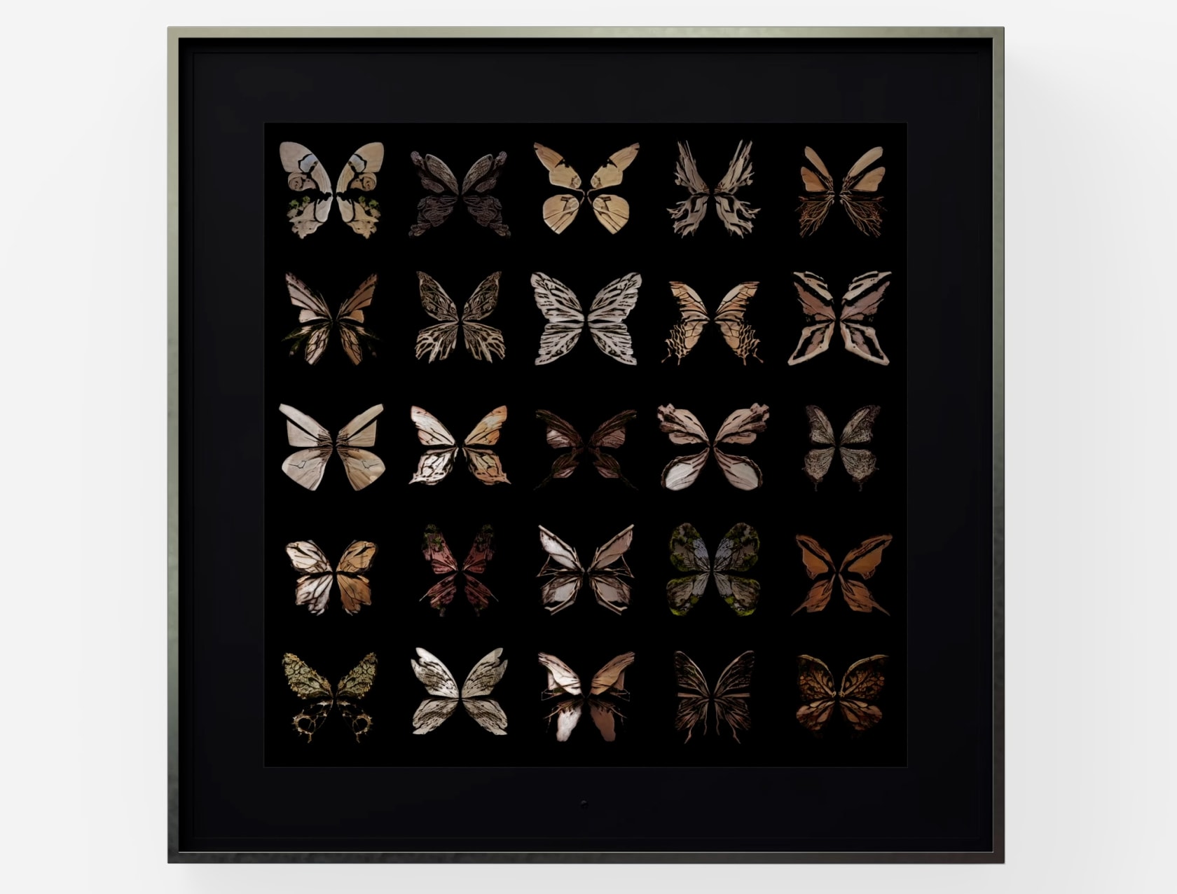Dominic Harris, Metamorphosis: Elements , 2023