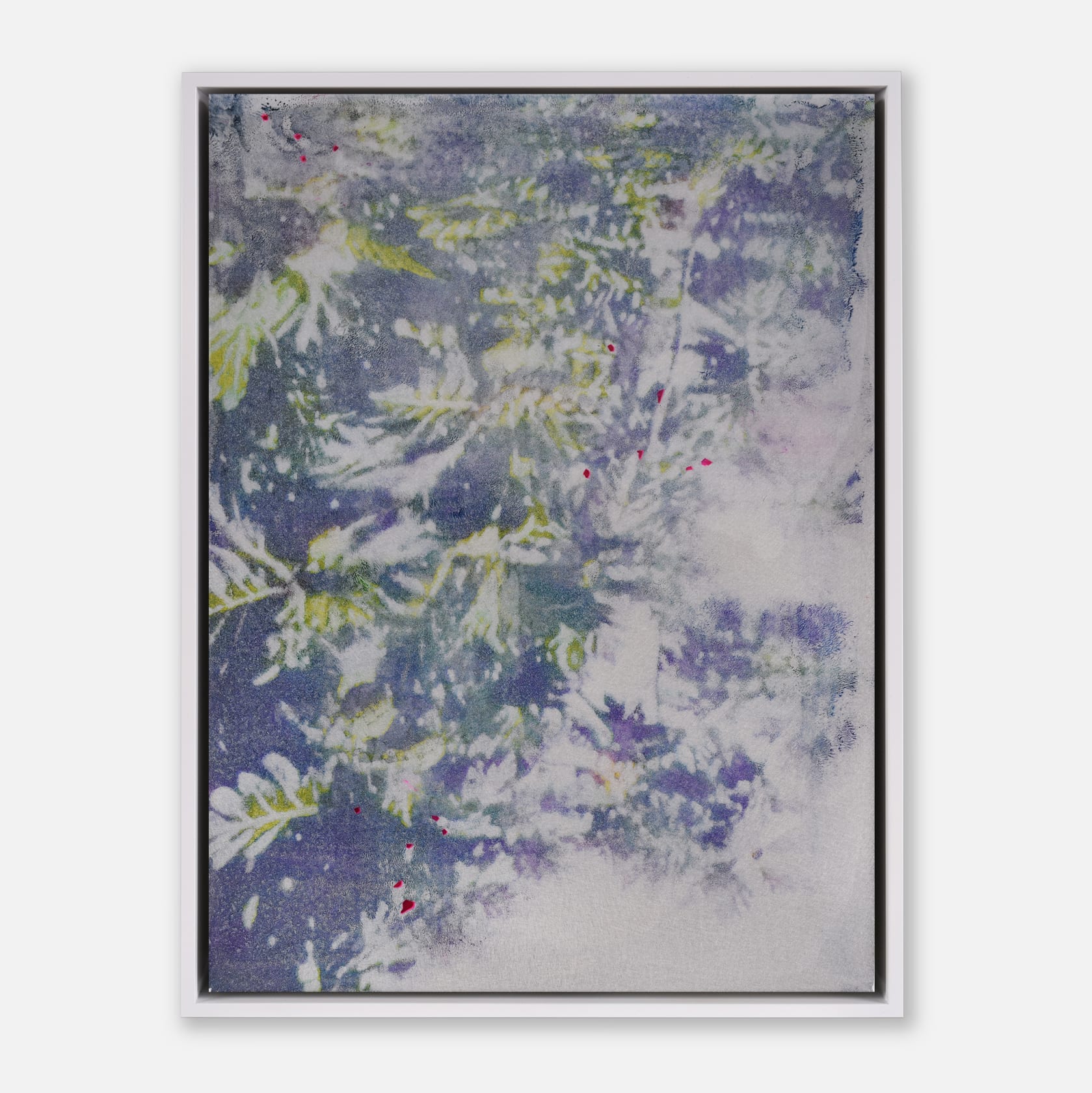 Ernesto Cánovas, Botanic 16, 2017