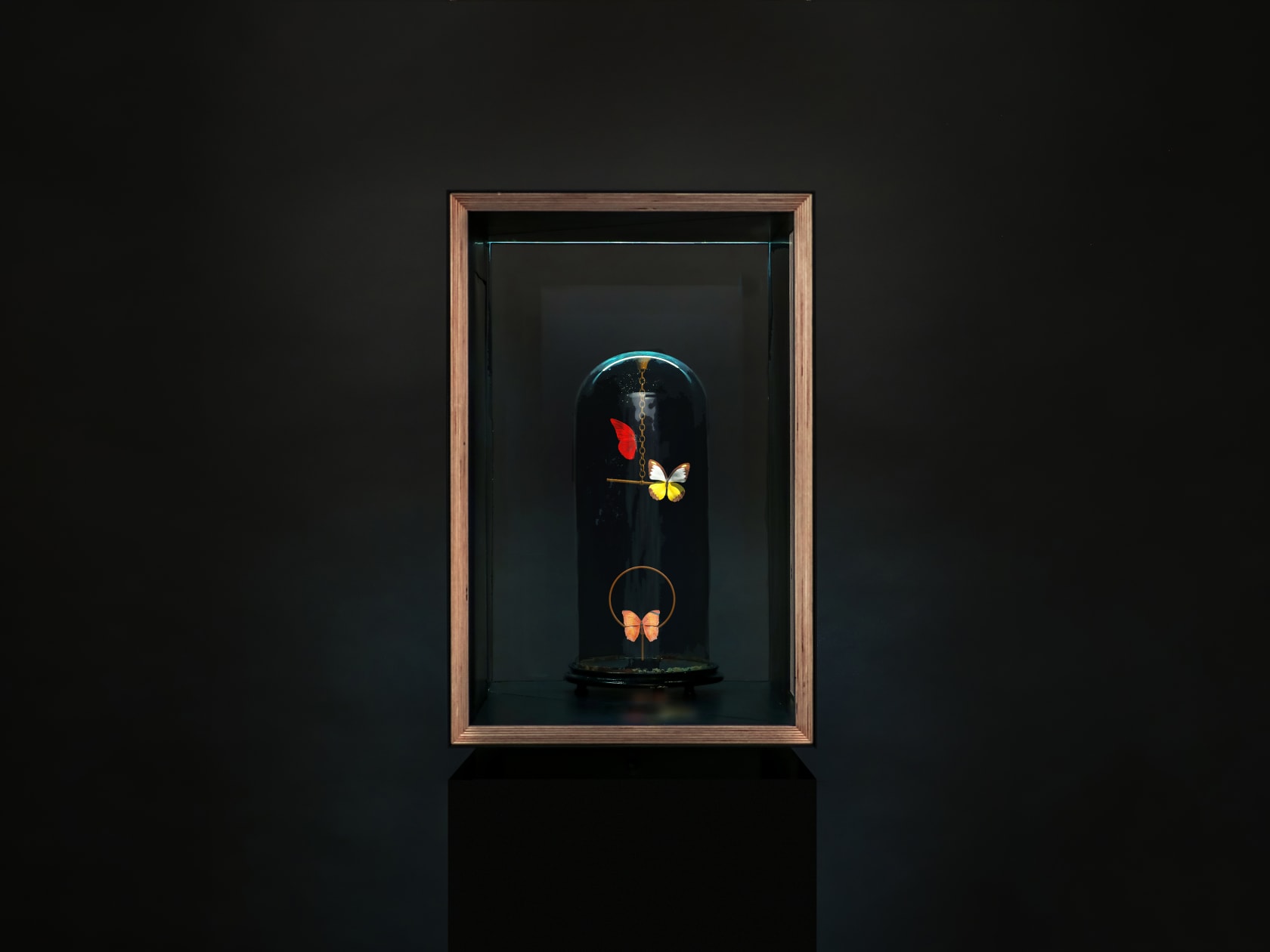 Dominic Harris, Flutter Hologram: Pendulum, 2023