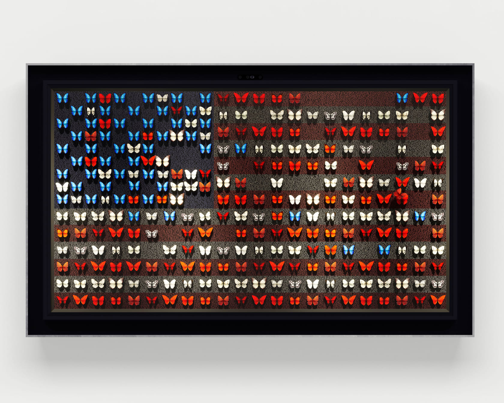 Dominic Harris, Sounds of Liberty , 2025