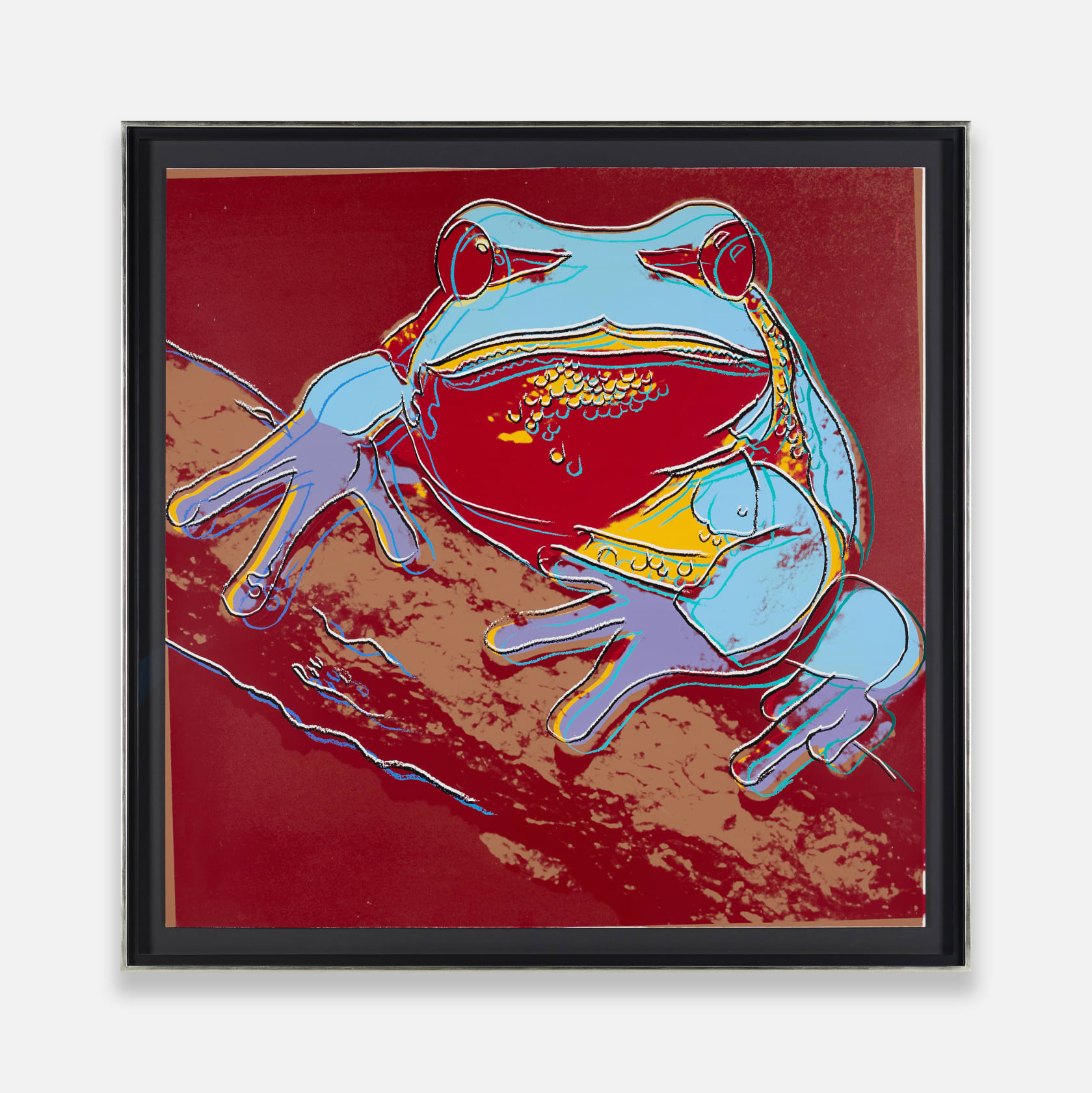 Andy Warhol Pine Barrens Tree Frog
