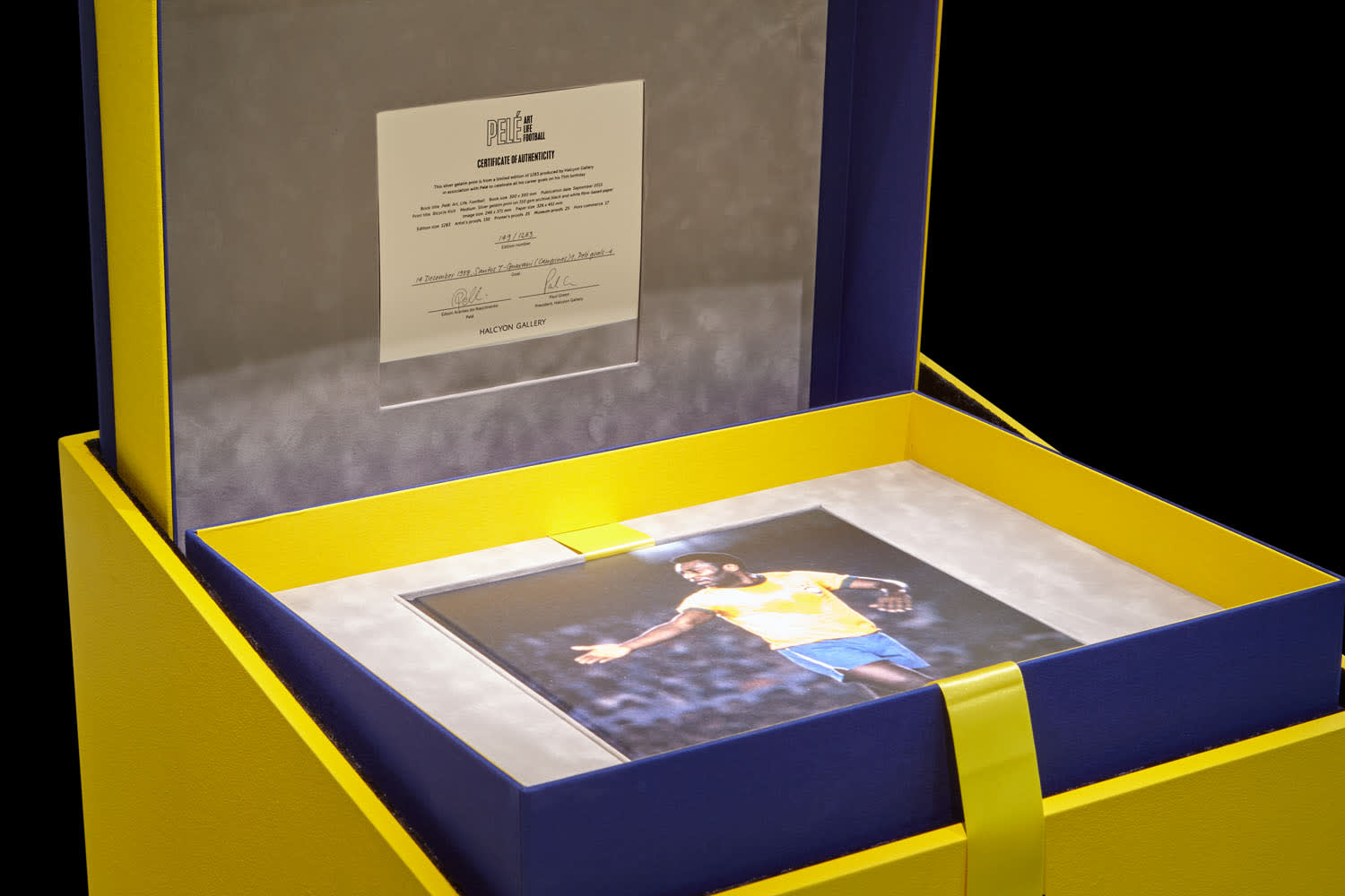 Pelé Pelé: Art, Life, Football