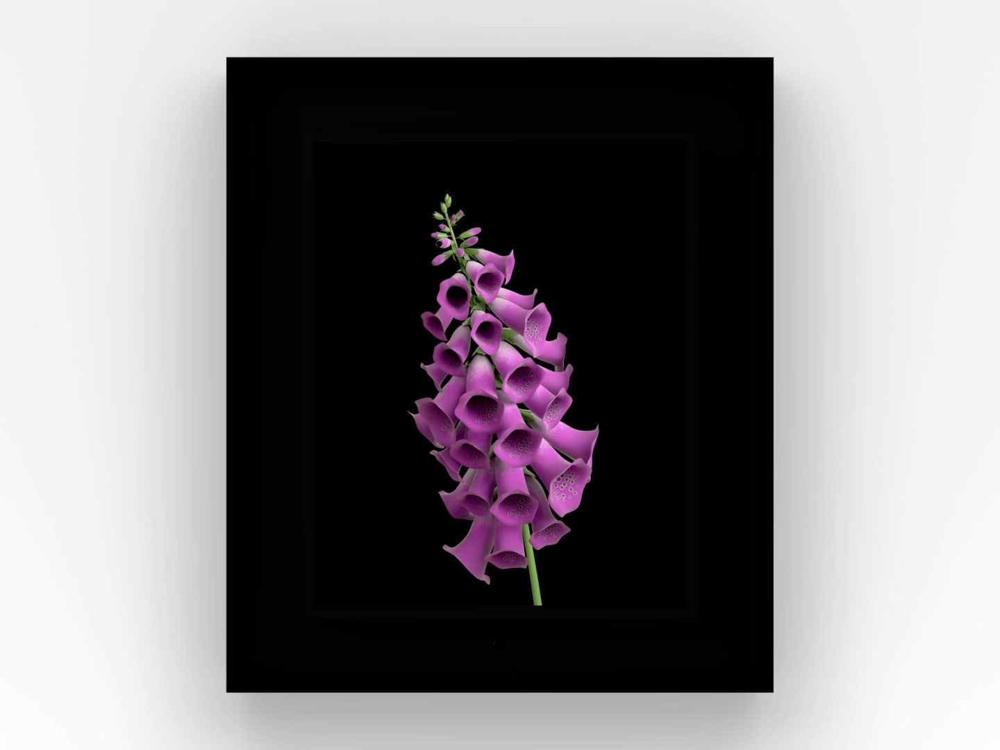 Dominic Harris, Bloomed: Foxglove, 2016