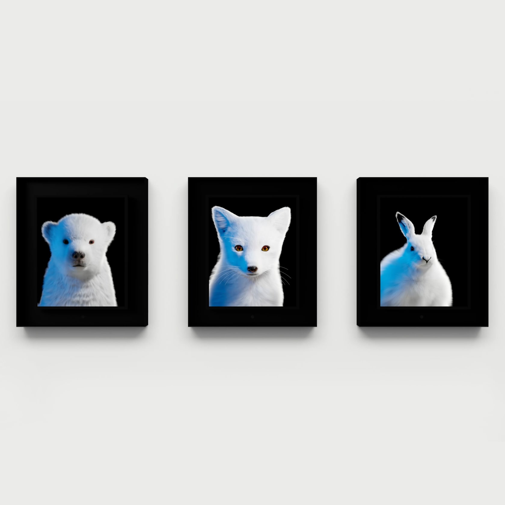 Dominic Harris, Arctic Souls: Polar Bear, Arctic Fox, Arctic Hare , 2023