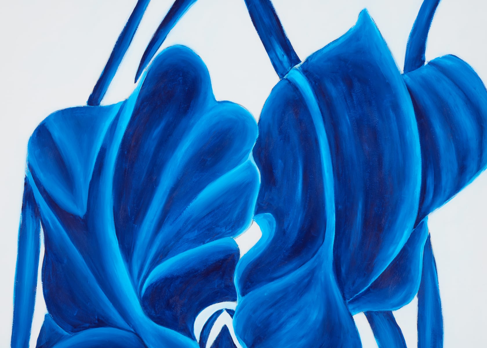 Paul Cummins MBE, Witch's Garden: Flowers And The Heavens, 2024