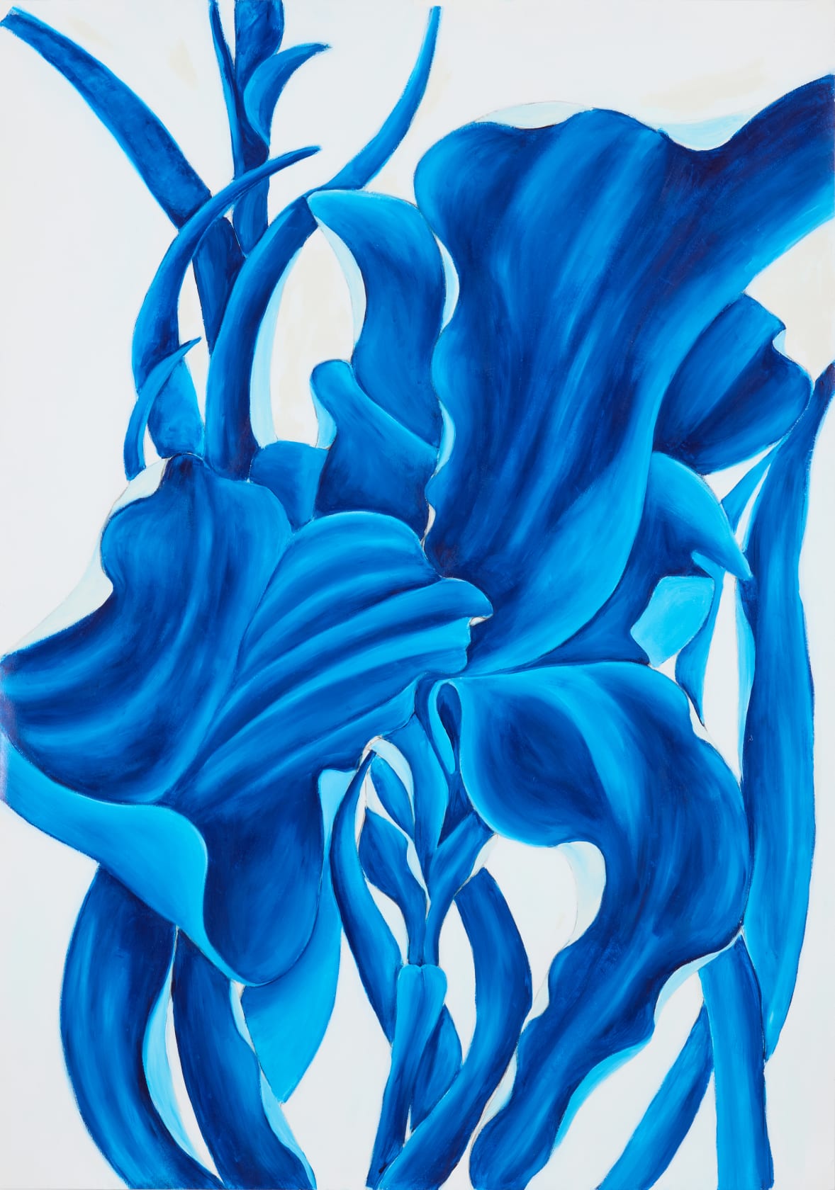 Paul Cummins MBE, Witch's Garden: Flowers And The Heavens III, 2024