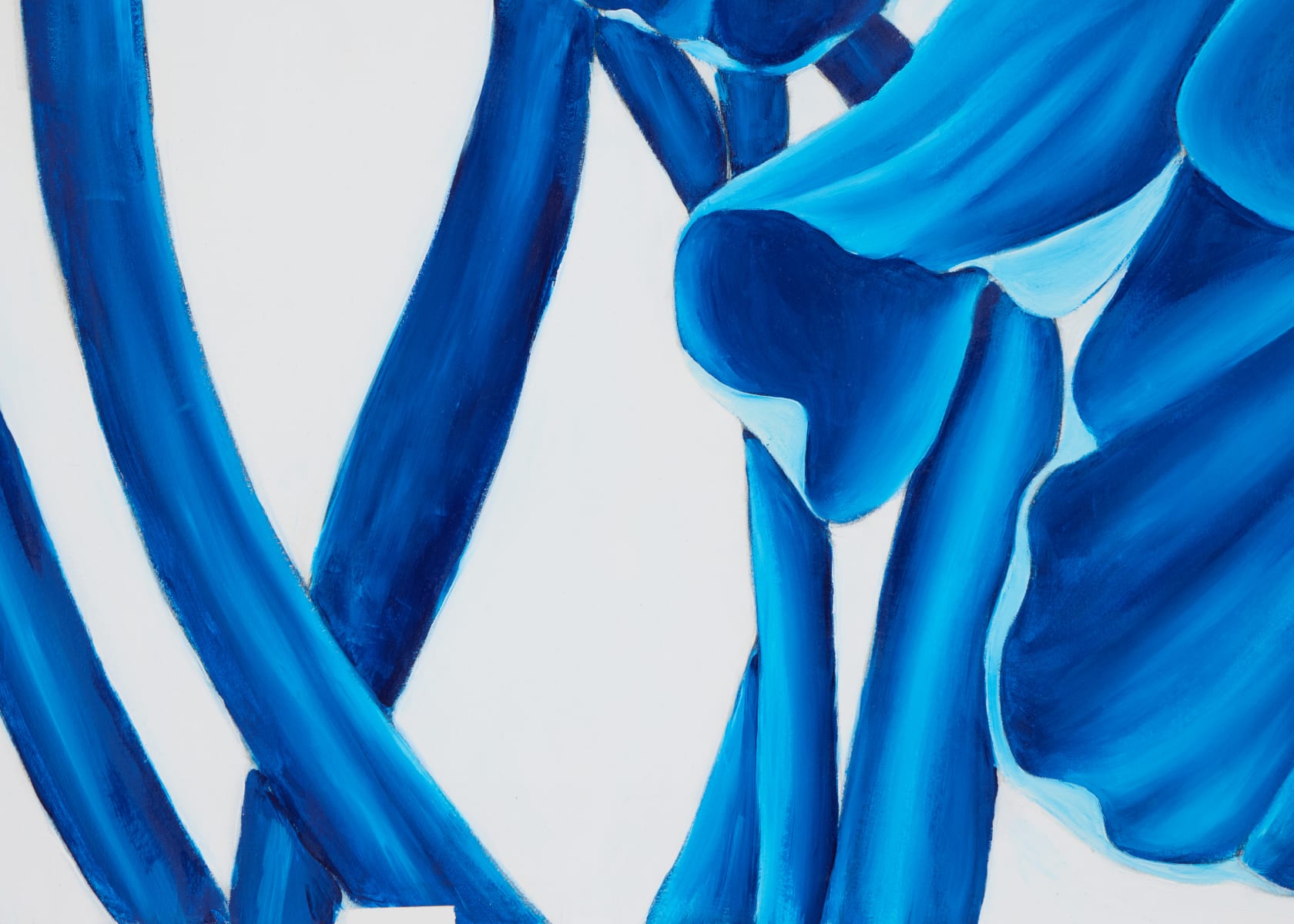 Paul Cummins MBE, Witch's Garden: Flowers And The Heavens IV, 2024