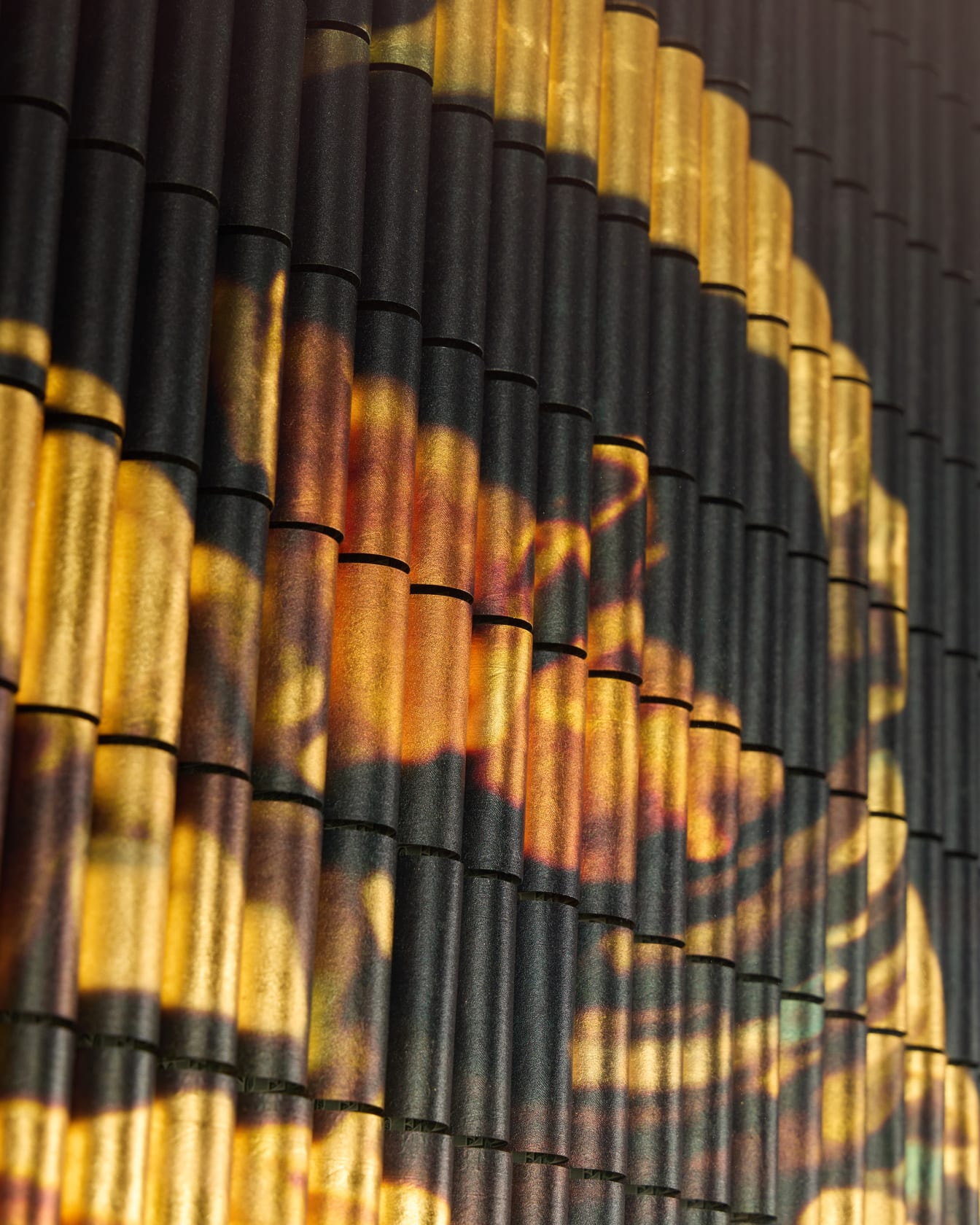 Santiago Montoya Space Walk