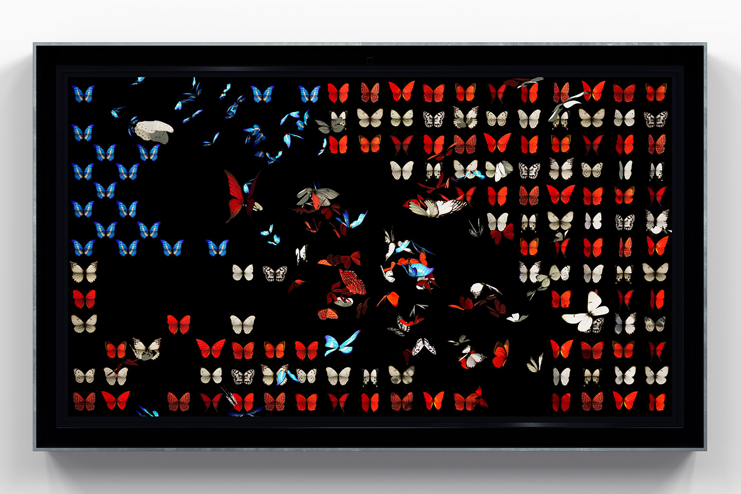 Dominic Harris, World Stage, US, 2020