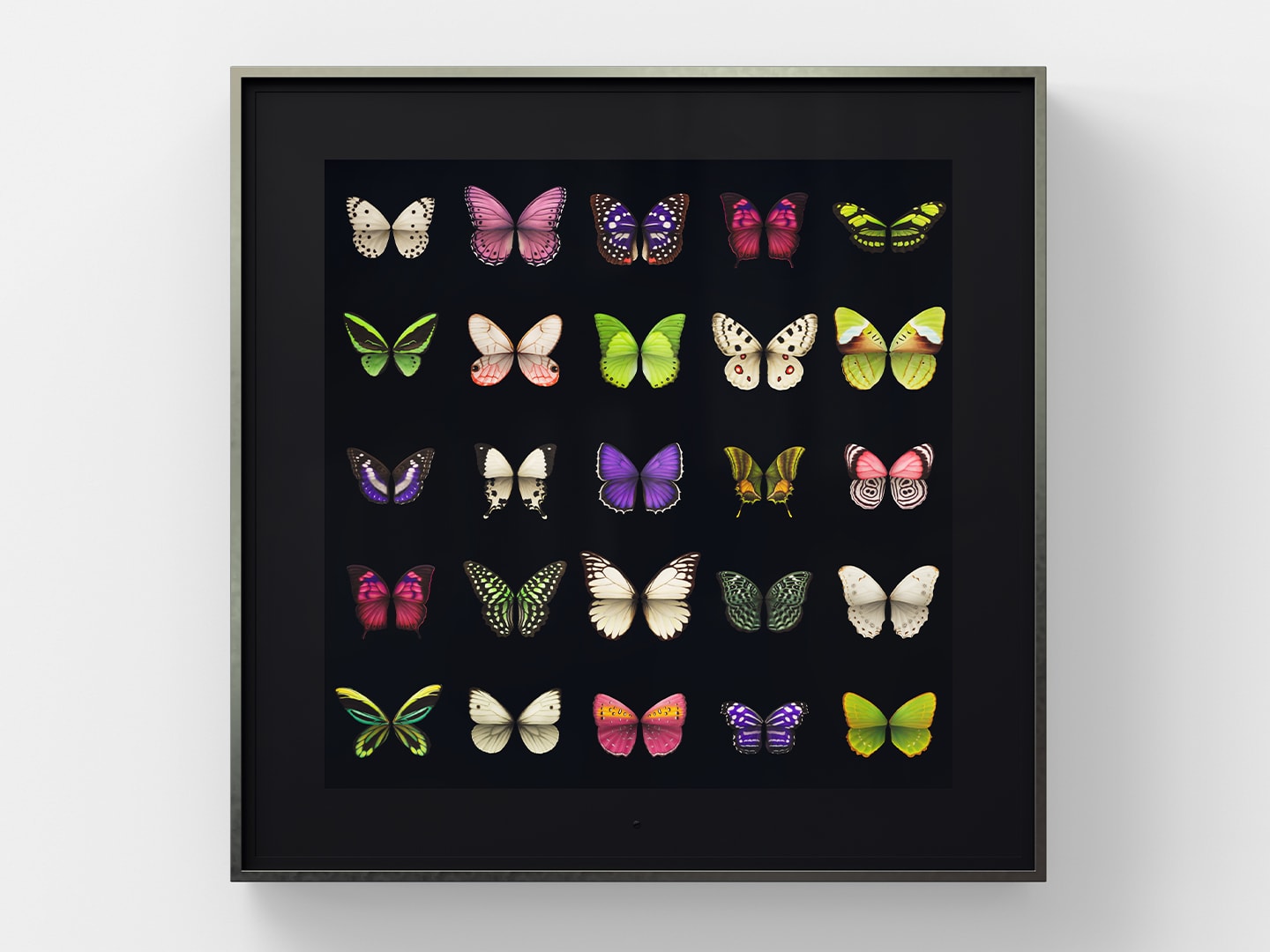Dominic Harris Metamorphosis, Four Seasons