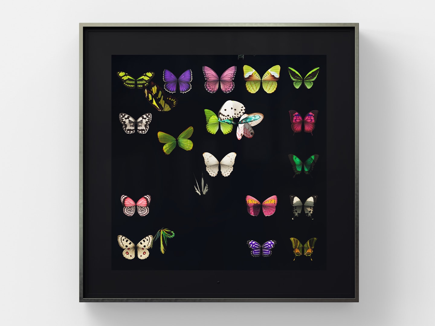 Dominic Harris Metamorphosis, Four Seasons