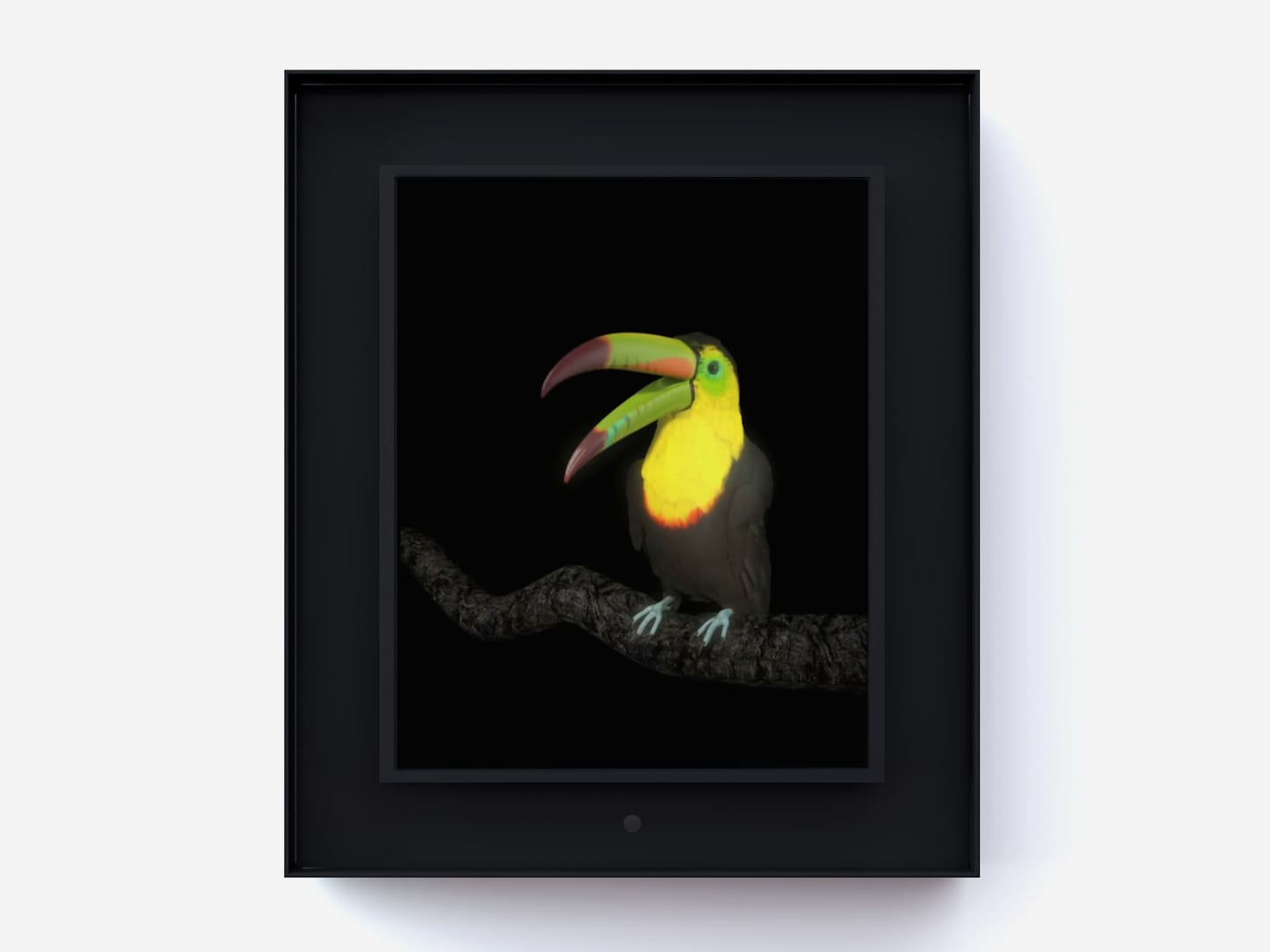 Dominic Harris, Ruffled: Toucan, 2014