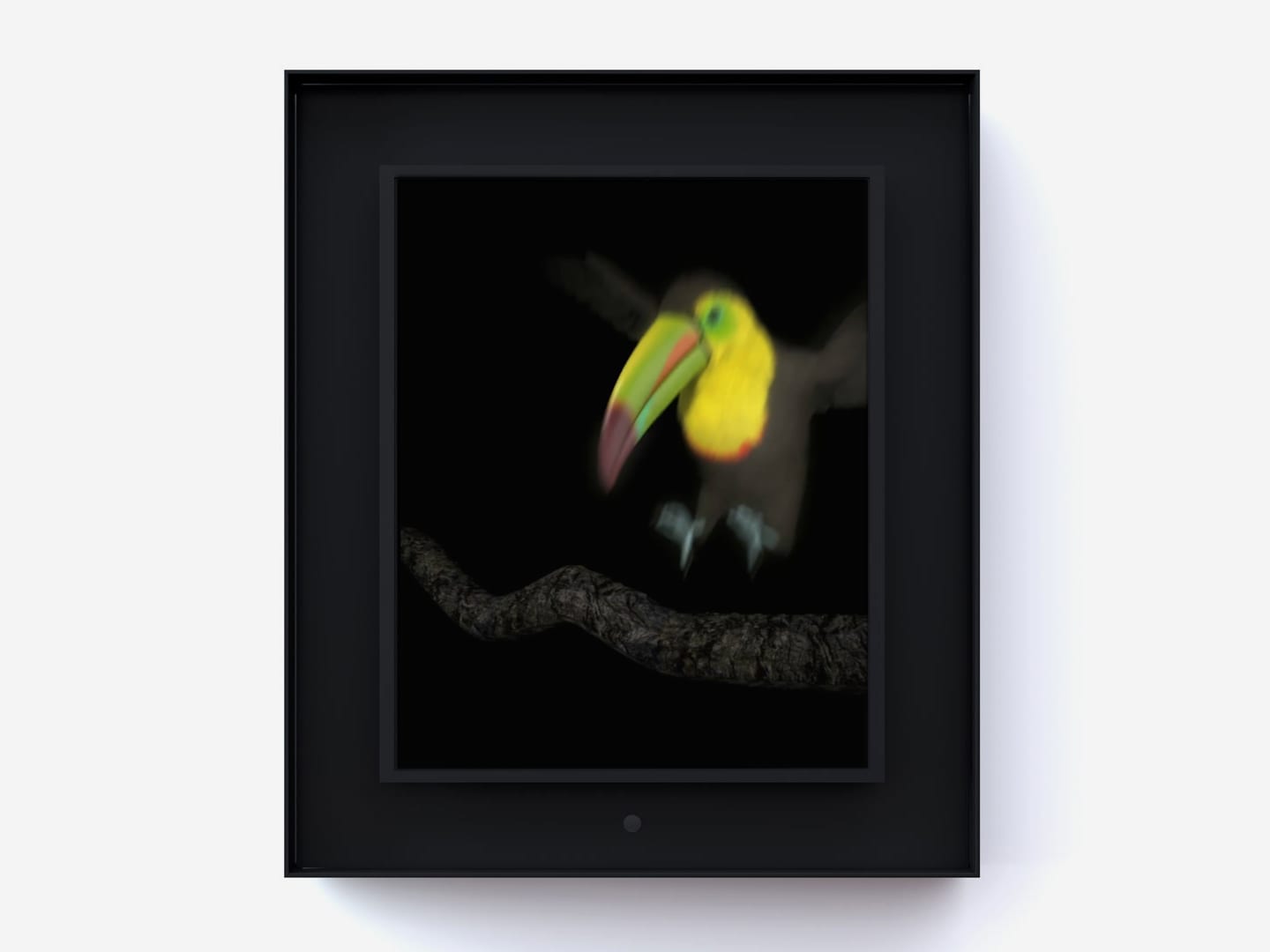 Dominic Harris, Ruffled: Toucan, 2014