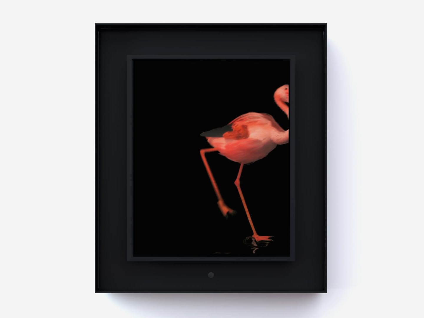Dominic Harris, Ruffled: Flamingo, 2014