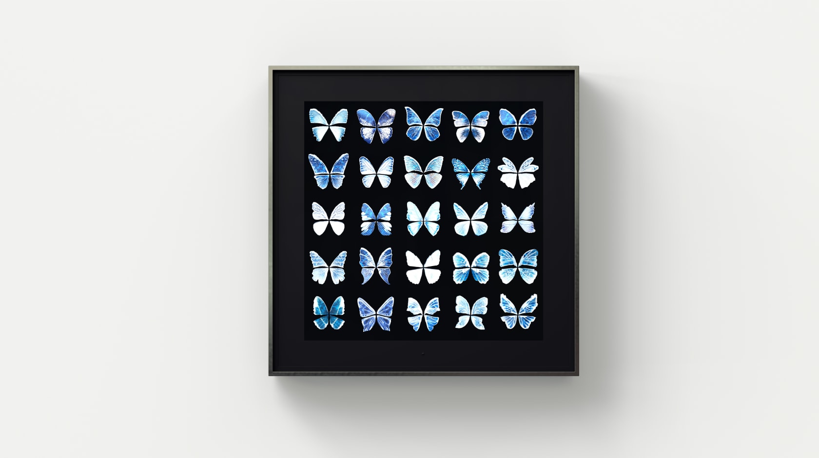 Dominic Harris, Metamorphosis: Elements , 2023