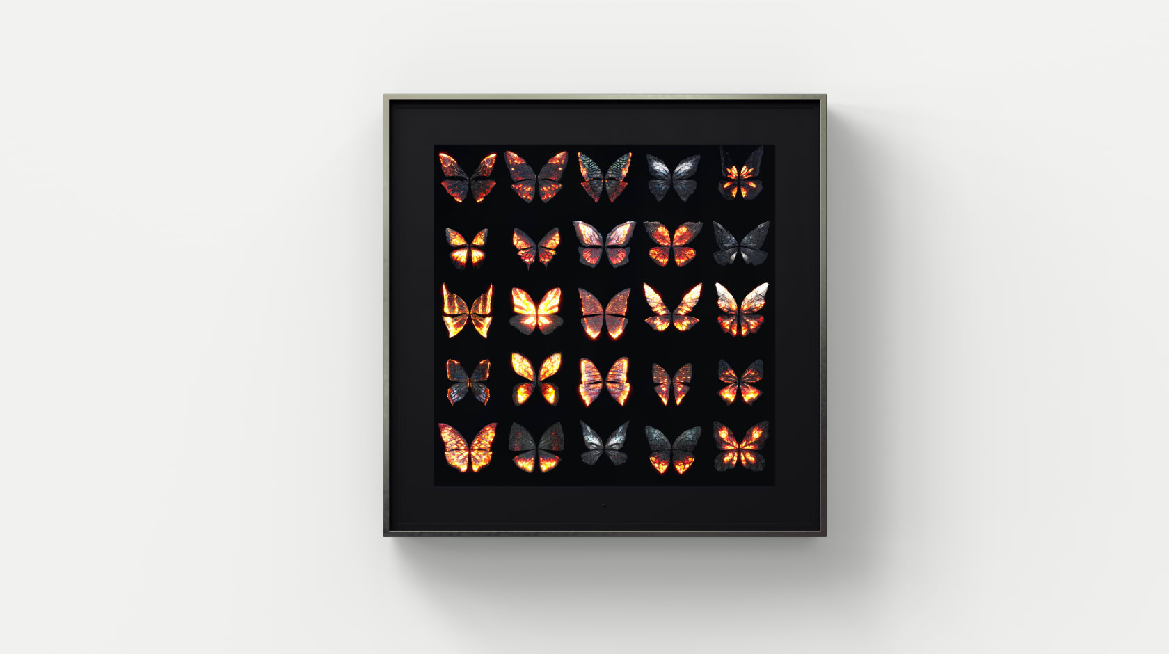 Dominic Harris, Metamorphosis: Elements , 2023