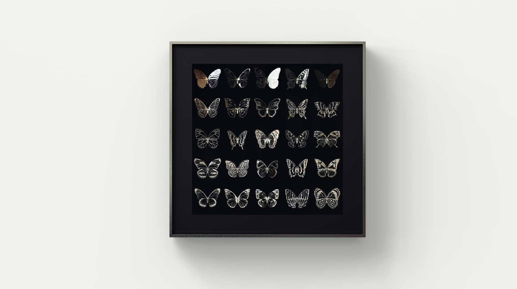 Dominic Harris, Metamorphosis: Precious Metals , 2023