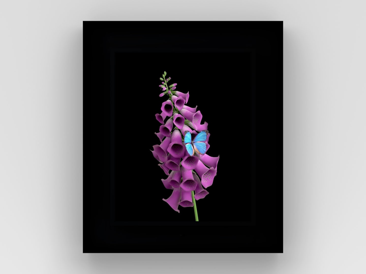 Dominic Harris, Bloomed: Foxglove, 2016