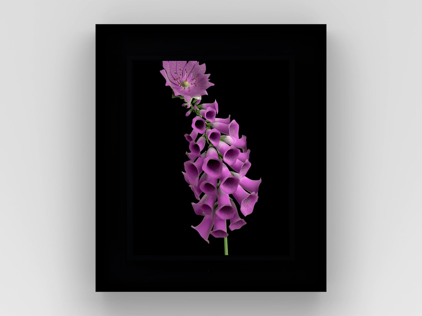 Dominic Harris, Bloomed: Foxglove, 2016