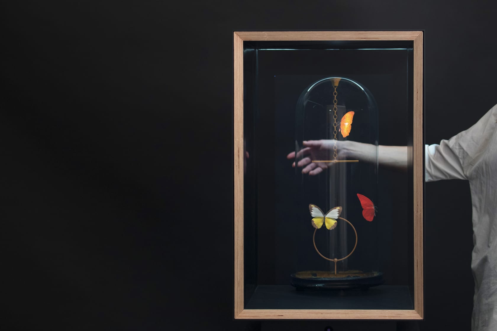 Dominic Harris, Flutter Hologram: Pendulum, 2023