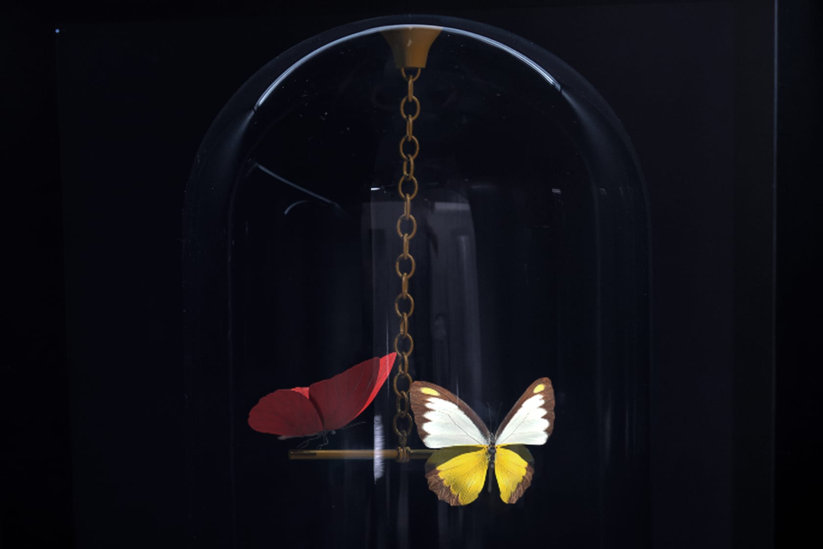 Dominic Harris, Flutter Hologram: Pendulum, 2023