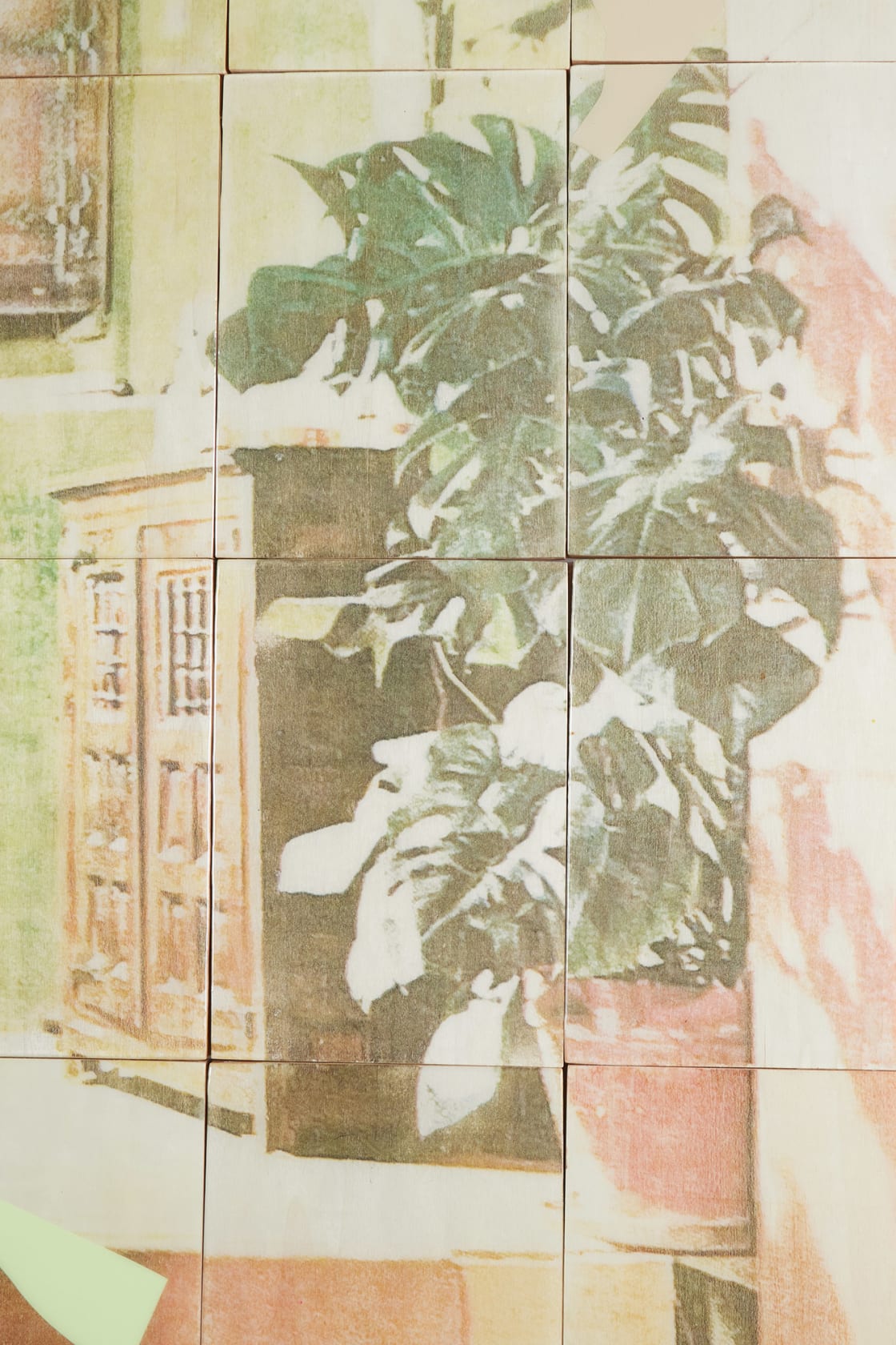 Ernesto Cánovas, Matisse Bookshelves, 2023