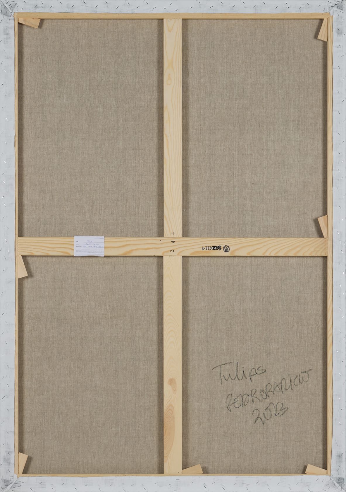 Pedro Paricio Tulips