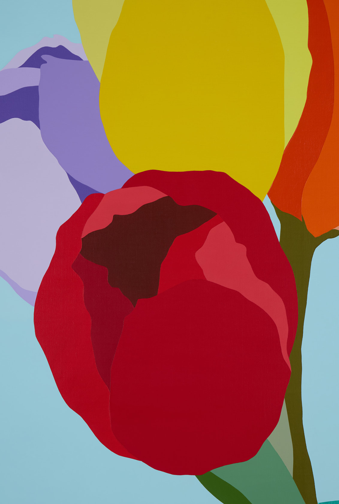 Pedro Paricio Tulips