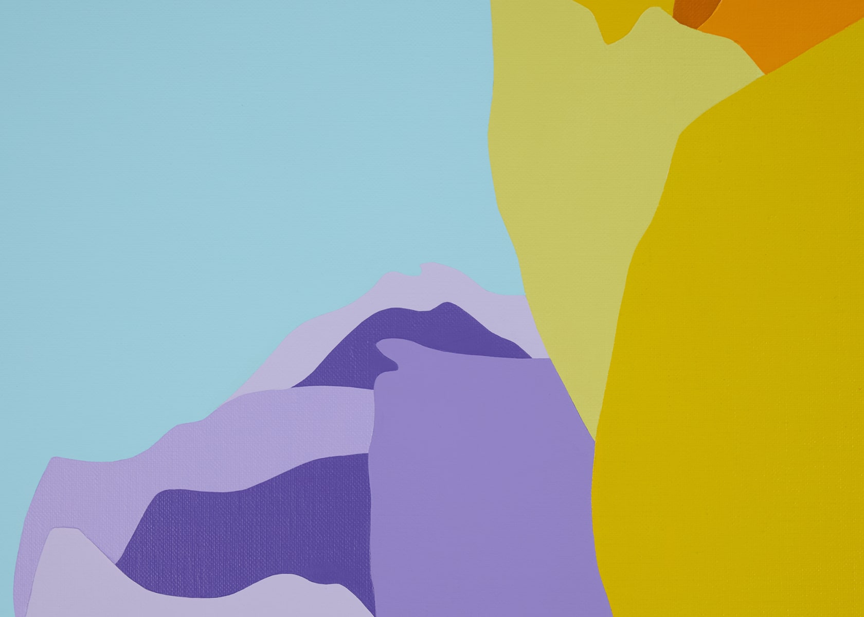 Pedro Paricio Tulips