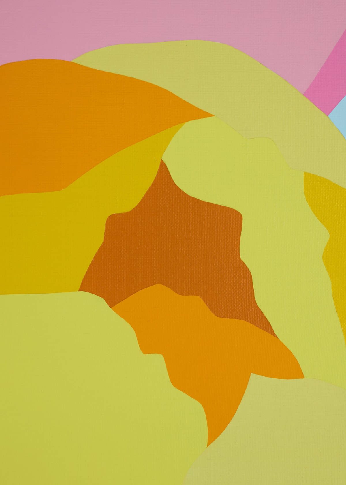 Pedro Paricio Tulips