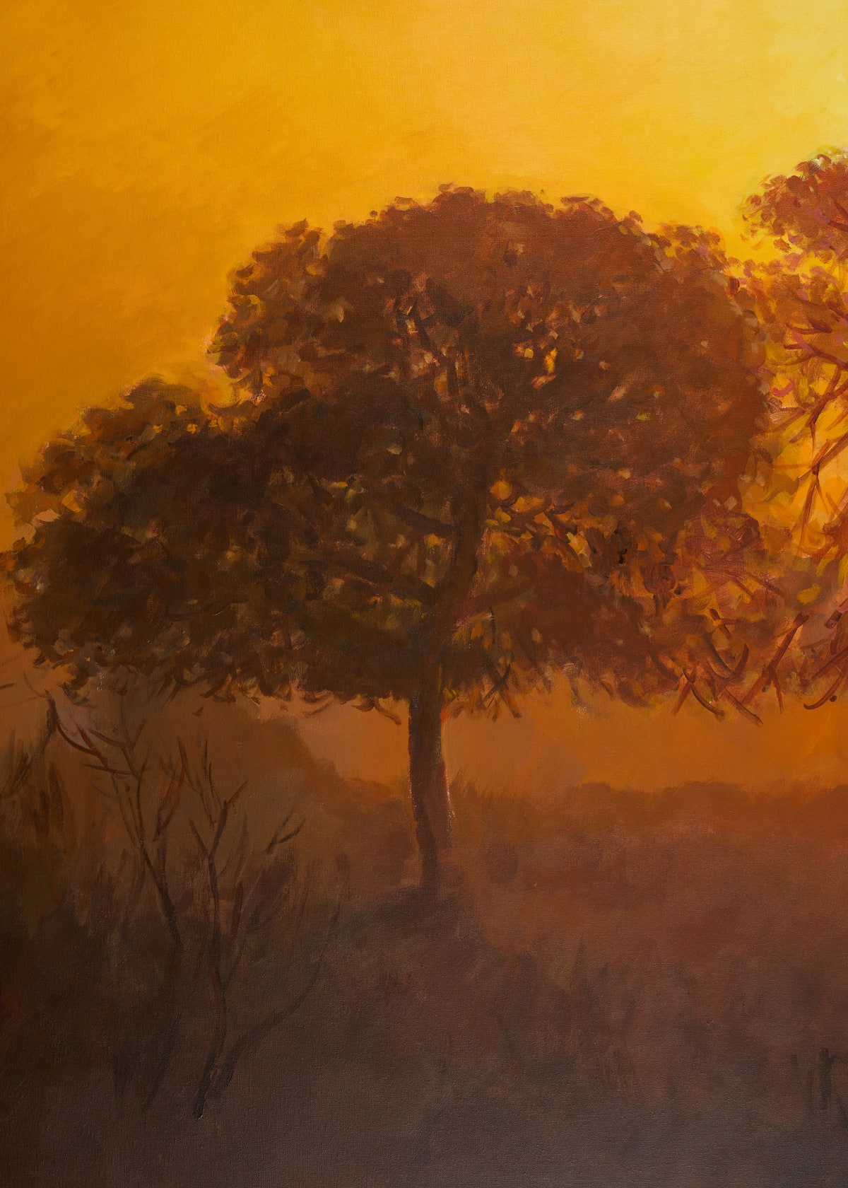 Bob Dylan, Trees at Dawn