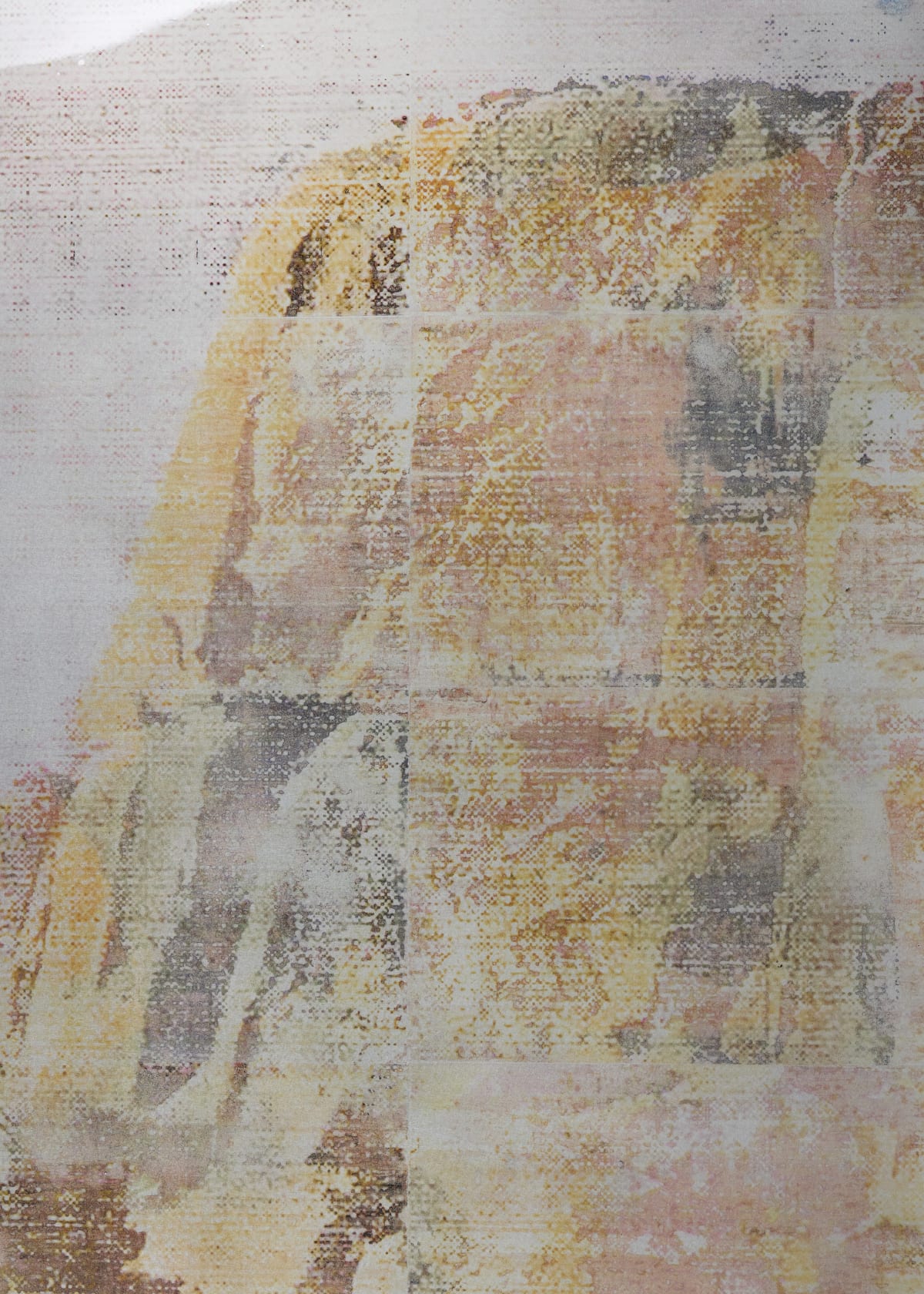 Ernesto Cánovas Joshua Tree