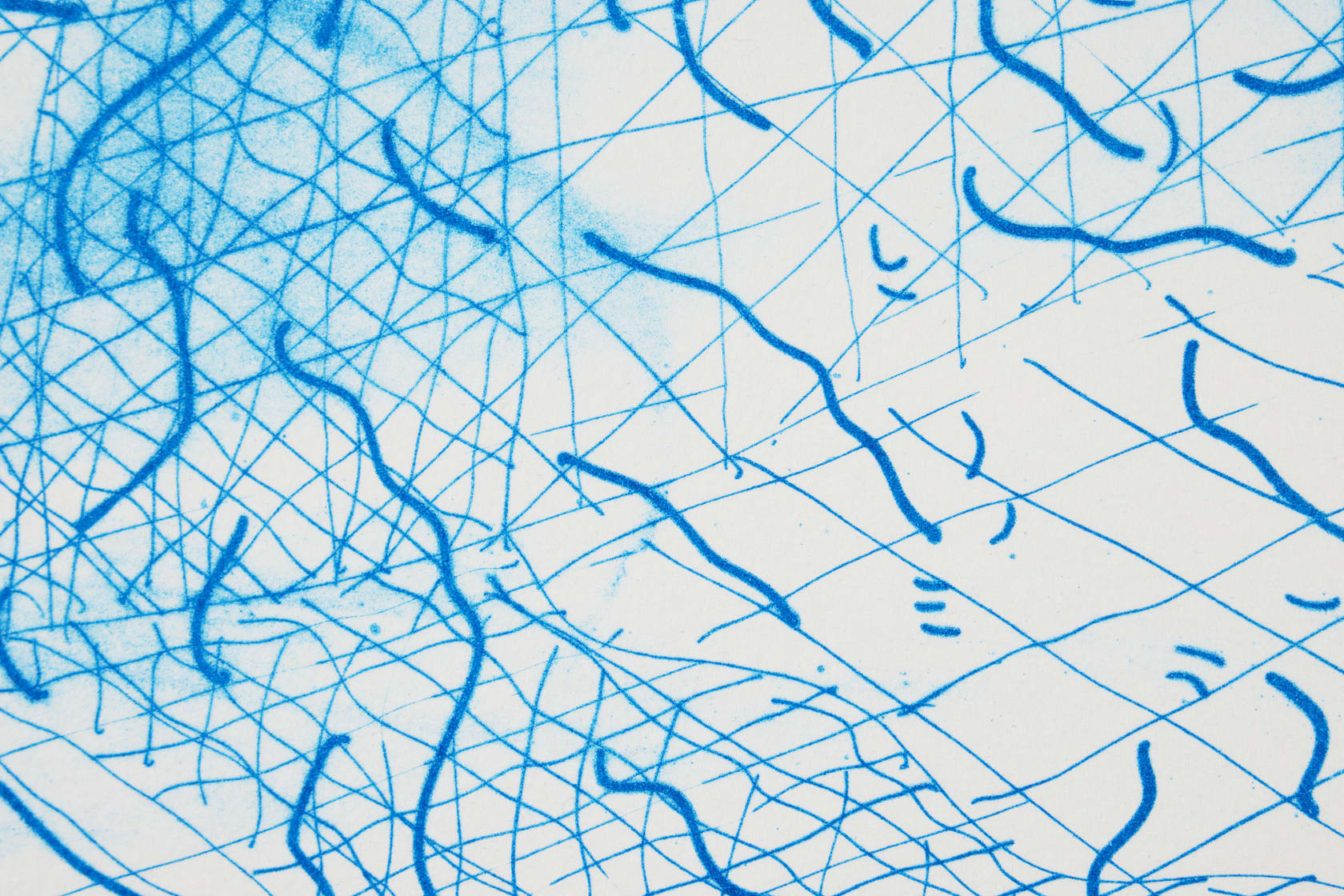 David Hockney Lithograph of Water Made of Lines